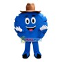 Cartoon Blue Pie In The Hat Mascot Costume