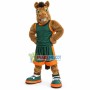 Sports Green-eyed Horse Mascot Costume for College