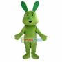 The Whole Green Rabbit Mascot Costume