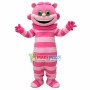Cartoon Smiling Cheshire Cat Mascot Costume