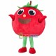 Smooth Cartoon Red Tomato Mascot Costume