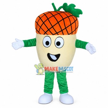 Soft Cartoon Pineapple Mascot Costume