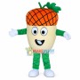 Soft Cartoon Pineapple Mascot Costume