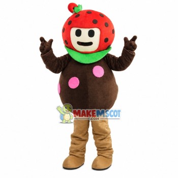 Lovely Cartoon Strawberry Boy Mascot Costume