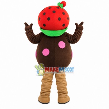 Lovely Cartoon Strawberry Boy Mascot Costume