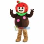 Lovely Cartoon Strawberry Boy Mascot Costume