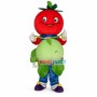 Tomato Doll Carrying Cabbage Mascot Costume