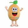 Sweet Juicy Cantaloupe Mascot Costume
