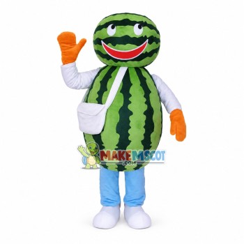 Assembled Watermelon Doll Mascot Costume Assembled Watermelon Doll Mascot Costume