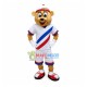 Baseball Catcher Brown Bear Mascot Costume Baseball Catcher Brown Bear Mascot Costume