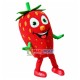 Big Fresh Cartoon Strawberry Mascot Costume Big Fresh Cartoon Strawberry Mascot Costume