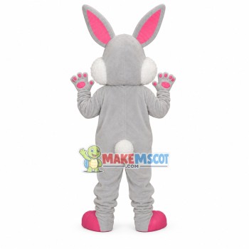 Playground Rabbit Mascot Costume For Middle School