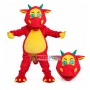 Football Club Member The Sports Dragon Mascot Costume