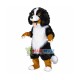 Lovely Bernese Mountain Dog Mascot Costume Lovely Bernese Mountain Dog Mascot Costume