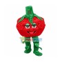 Lightweight Cartoon Tomato Mascot Costume For Female