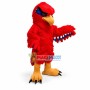 Red Hawk High School Mascot Costume 