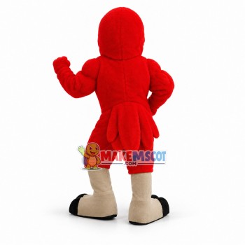 Power Red Hawk Secondary School Mascot Costume Power Red Hawk Secondary School Mascot Costume