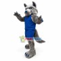 College Sport Gray Sea Wolf Mascot Costume 