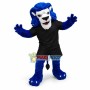 Blue Lion With White Face High School Mascot Costume 