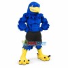Power Fierce Blue Falcon High School Mascot Costume 