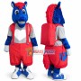 Kid Blue Pony Mascot Costume 