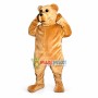 Bruce Bear Mascot Costume