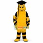 Bookworm Mascot Costume