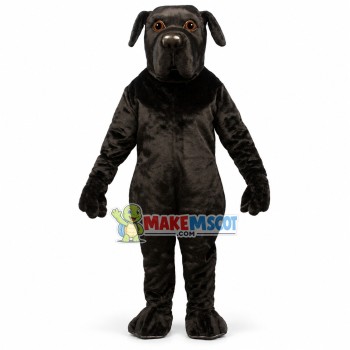 Newfoundland Dog Mascot Costume 