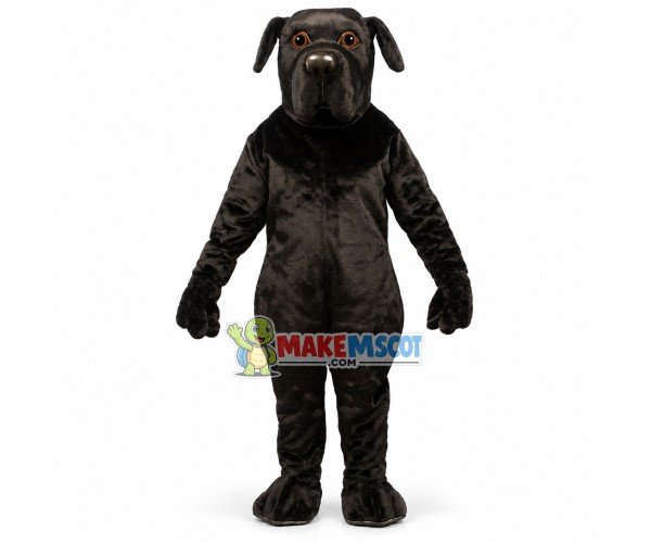 Newfoundland Dog Mascot Costume Newfoundland Dog Mascot Costume