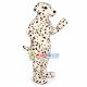 Beautiful Dalmatian Mascot Costume Beautiful Dalmatian Mascot Costume