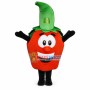 Lightweight Cartoon Red Delicious Apple Mascot Adult Costume	