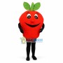 Deluxe Cartoon Red Apple Lightweight Mascot Costume	