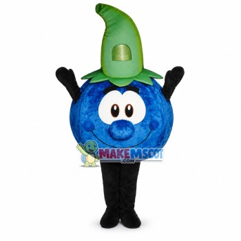 Deluxe Cartoon Blueberry Mascot Adult Costume Deluxe Cartoon Blueberry Mascot Adult Costume
