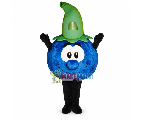 Deluxe Cartoon Blueberry Mascot Adult Costume Deluxe Cartoon Blueberry Mascot Adult Costume