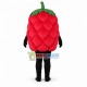 Deluxe Fresh Raspberry Mascot Costume Deluxe Fresh Raspberry Mascot Costume