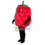 Deluxe Fresh Raspberry Mascot Costume 