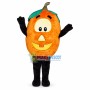 Deluxe Jack O' Lantern Mascot Costume 