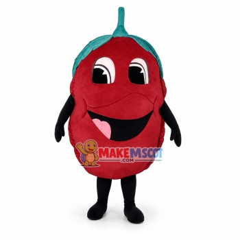 Deluxe Cartoon Red Raspberry Mascot Costume Deluxe Cartoon Red Raspberry Mascot Costume