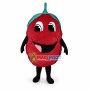 Deluxe Cartoon Red Raspberry Mascot Costume	