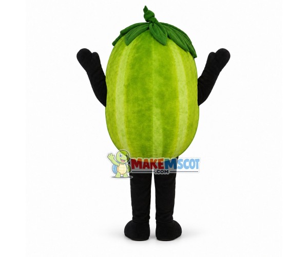 Deluxe Cartoon Wally Watermelon Lightweight Mascot Costume 	