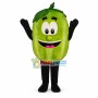 Deluxe Cartoon Wally Watermelon Lightweight Mascot Costume 	