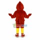 Sport Red Roadrunner Bird Mascot Costume