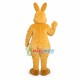 Adult Cartoon Anteater Mascot Costume 