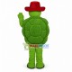 Terry the Turtle Mascot Costume 