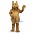 Adult Plush Coyote Mascot Costume 