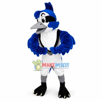 Jayson the Blue Jay High School Mascot Costume Jayson the Blue Jay High School Mascot Costume