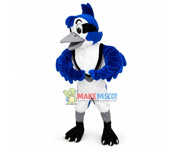 Jayson the Blue Jay High School Mascot Costume Jayson the Blue Jay High School Mascot Costume