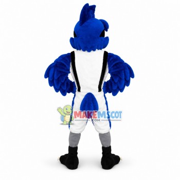 Jayson the Blue Jay High School Mascot Costume	