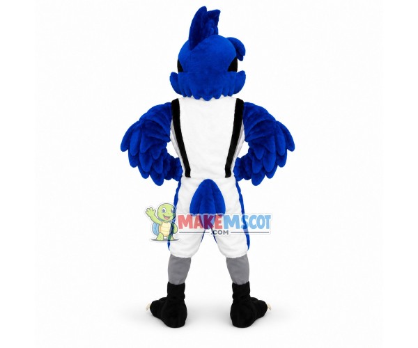 Jayson the Blue Jay High School Mascot Costume Jayson the Blue Jay High School Mascot Costume