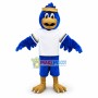 Sport Blue Falcon Mascot Costume 